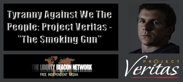 Image result for project veritas gun control