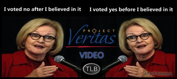 Image result for claire mccaskill project veritas