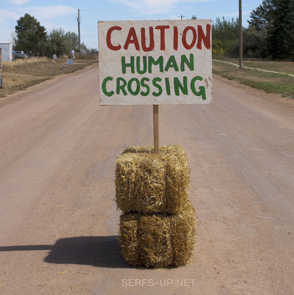 human-crossing5