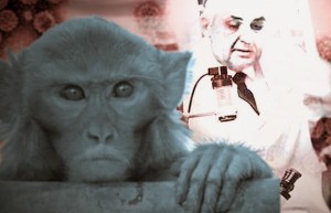 monkey-vaccine