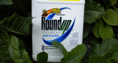 pesticides_roundup-466