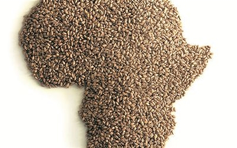 africa-food-xxx-466-the-liberty-beacon