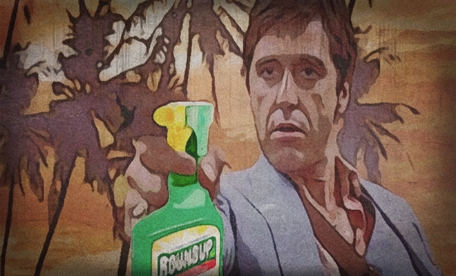 Pacino roundup 4 22 16