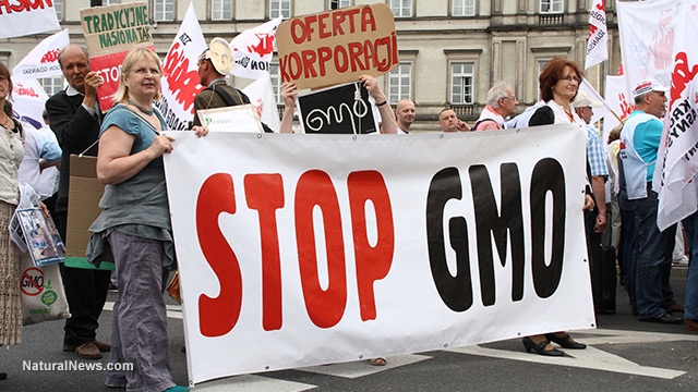 Protest-Sign-Stop-Gmo-March 4 15 16