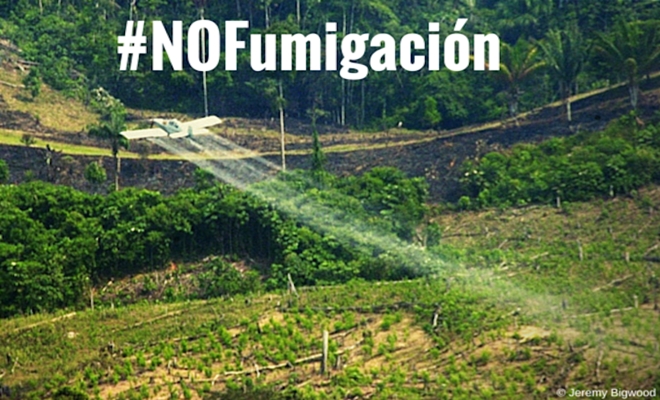 banner_no_fumigacion2 4 22 16