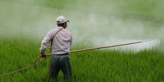 man spraying pesticides 4 11 16