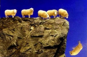 sheep_off_cliff_insert