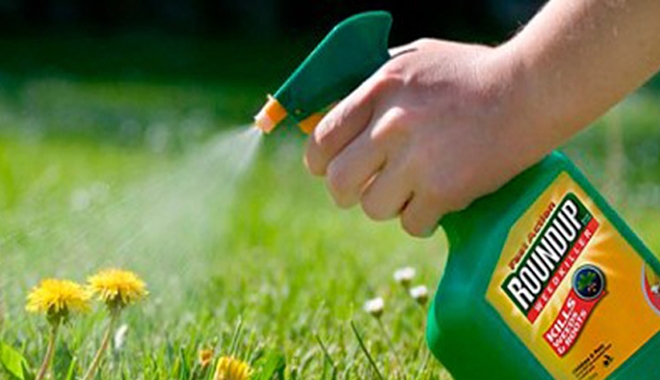 glyphosate_roudup