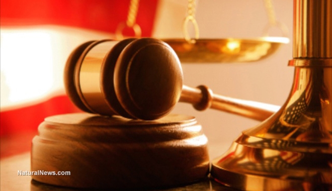 Close-Up-Judges-Mallet