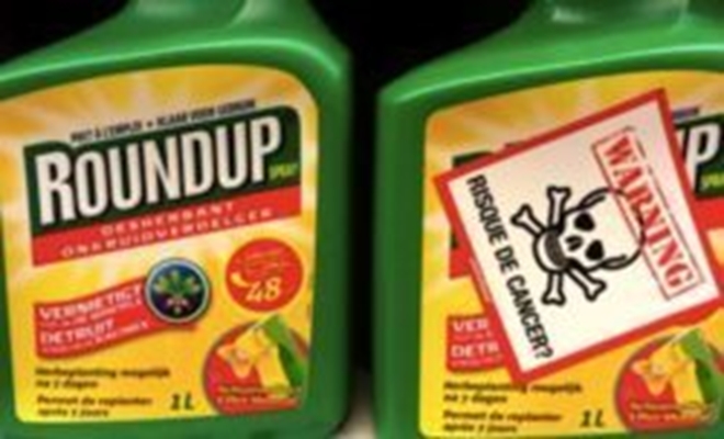 roundup toxic