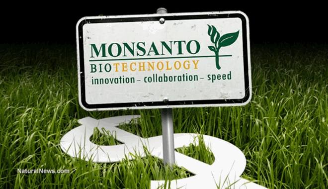 Monsanto-Money-Crops