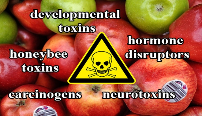 apples-47-pesticides-2