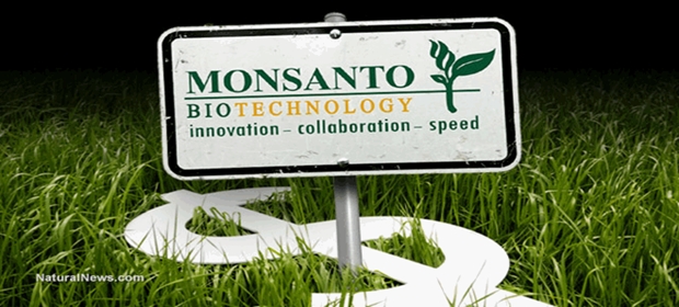 Monsanto-Money-Crops sept 7