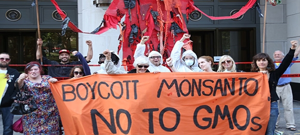 occupy-monsanto-boycott-monsanto-no-to-gmo-sign
