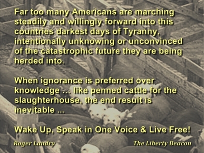 Penned Cattle 01 small