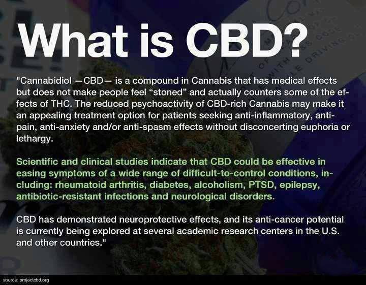 cbd-cannabinoids