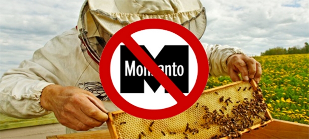 monsanto-mexico