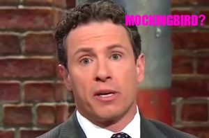 chris-cuomo-insert