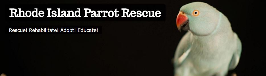ri-parrot-rescue